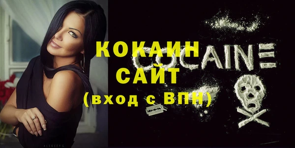 прущие крисы Бородино