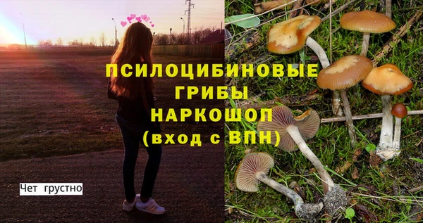 MESCALINE Валдай