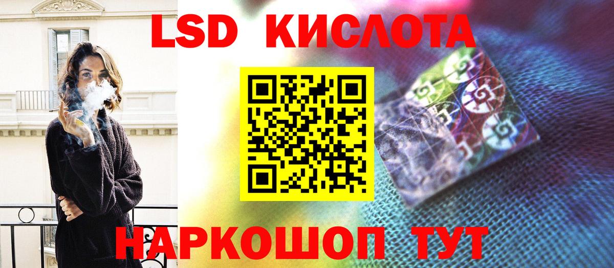 Галлюциногенные грибы Зеленогорск