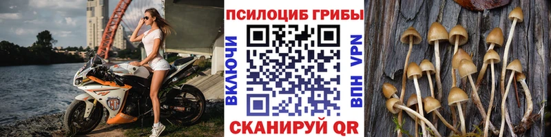 Псилоцибиновые грибы мухоморы KRAKEN зеркало Зеленогорск