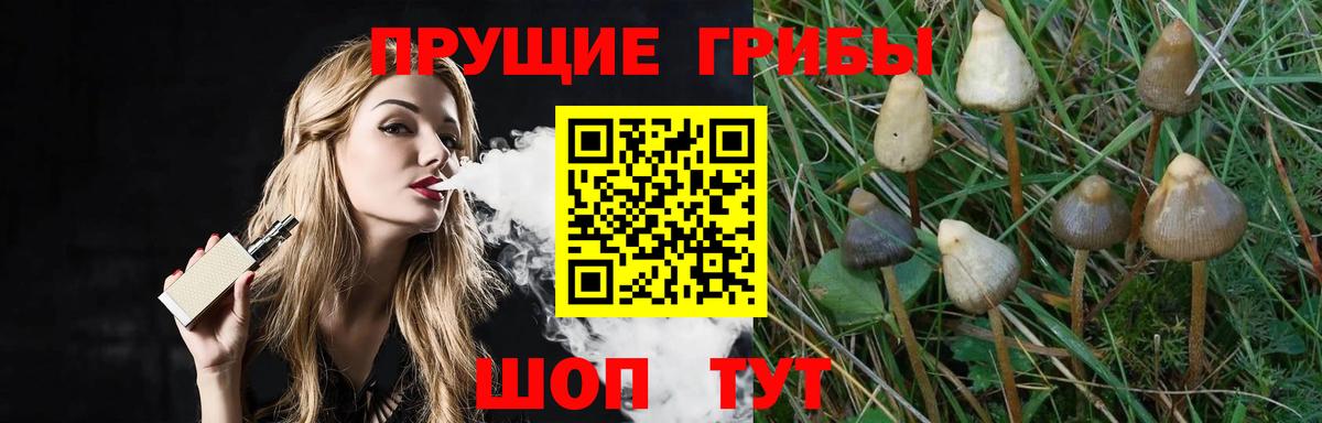 Галлюциногенные грибы Magic Shrooms Зеленогорск