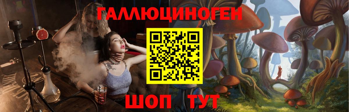 Галлюциногенные грибы Psilocybe Зеленогорск